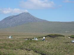 Achill