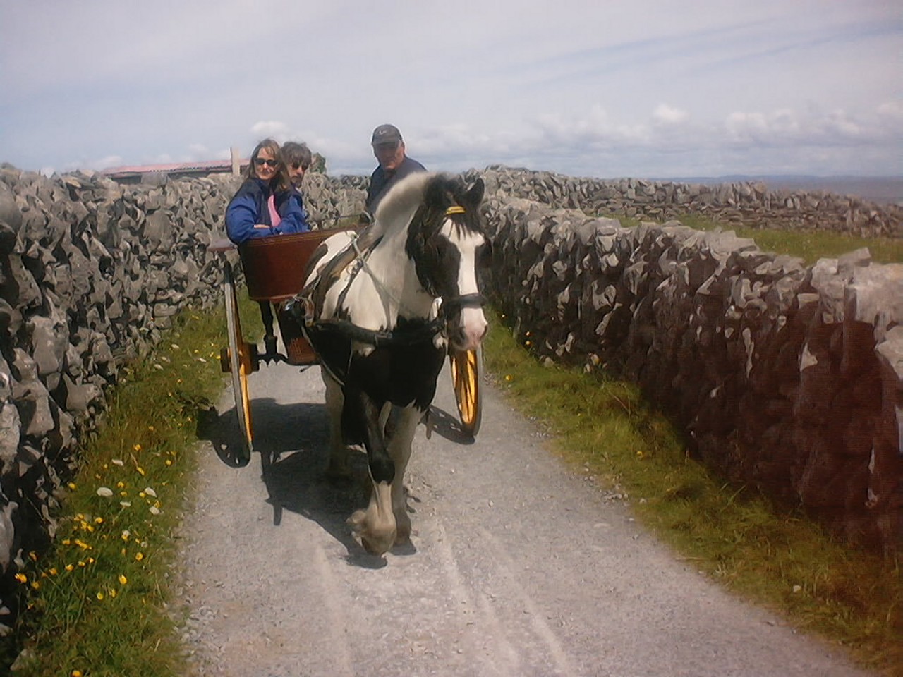 Touring the island in a pony and trap.