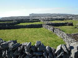 Arainn - Inishmore