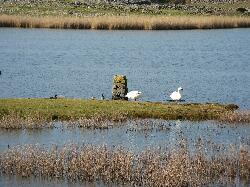 Arainn - Inishmore