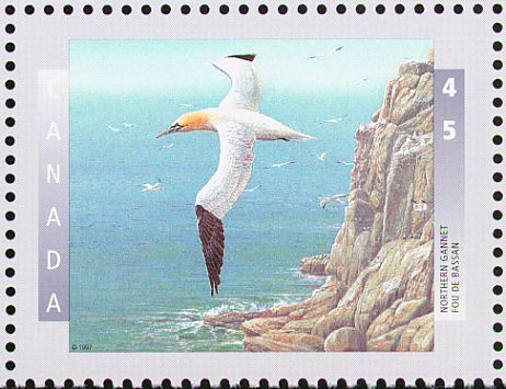 Canada gannet postage stamp