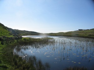 Loch on Teampaill is close to the ruins of St. Colman's church.