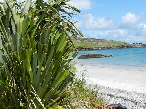 Inishbofin - Inis B Finne