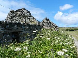 Inishbofin - Inis B Finne