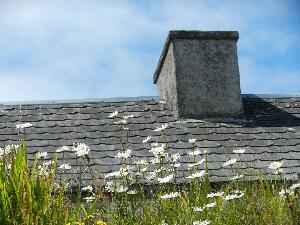 Inishbofin - Inis B Finne