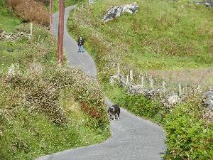 Inishbofin - Inis B Finne