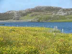 Inishbofin - Inis B Finne