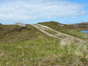 Inishbofin - Inis B Finne