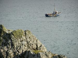 Inishbofin - Inis B Finne