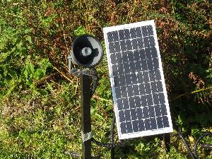 Copeland Islands - solar powered recordings of puffin calls are played in hopes of attracting puffins to nest on the island.