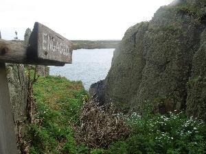 Copeland Islands - in most places you would expect frosted glass here rather than this view.