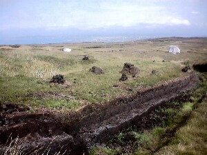 rainn Mhir - turf (peat) cut and stacked to dry