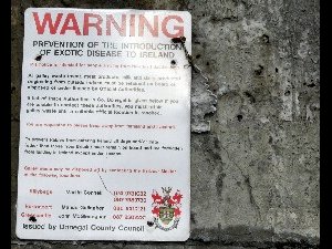 rainn Mhir - sign on the wall of the island's main pier 