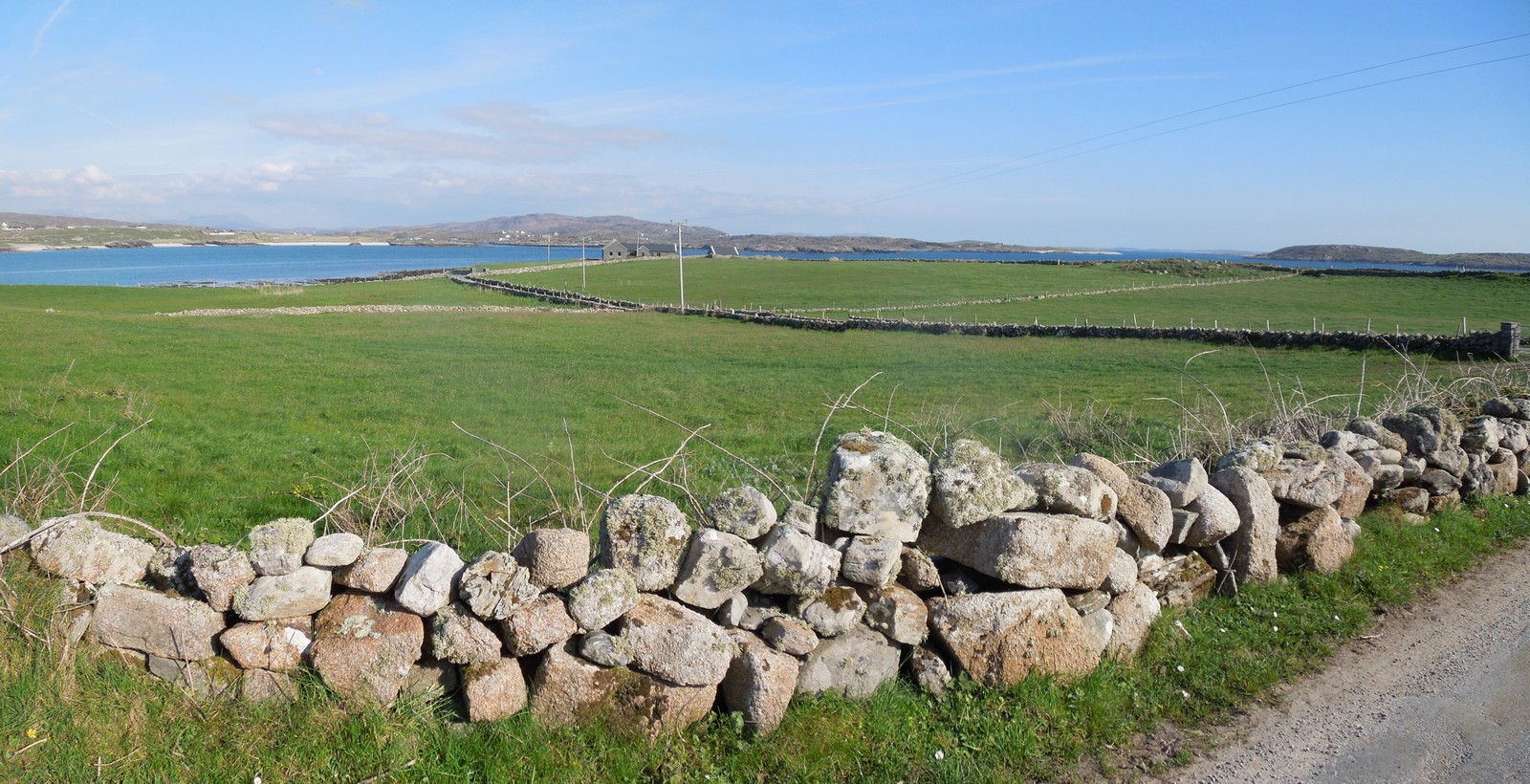 Grazing for cattle or grass for winter feed.