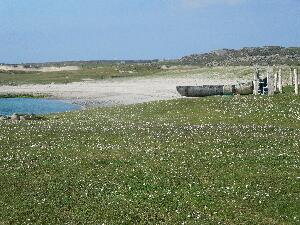 An abandoned currach