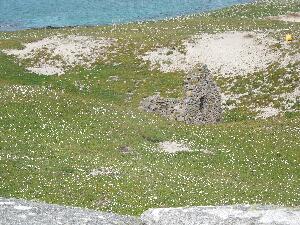 This medieval church (L56317 56150), here seen from a distance, was dug out of the sand a number of years ago.