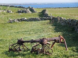 Grass is cut and stored as  winter feed for cattle. This machine would be used to turn cut grass to help it dry