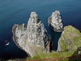 Sea stacks at the West Lighhouse covered in thousands of nesting seabirds.