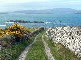 Cape Clear - a side road.