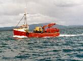 Vehicle transport approaching North Harbour.