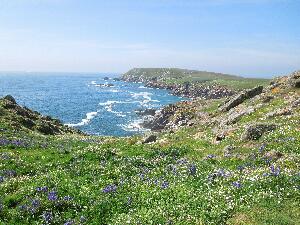 Great Saltee - south coast looking south west