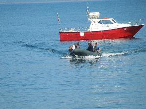 landing on Great Saltee