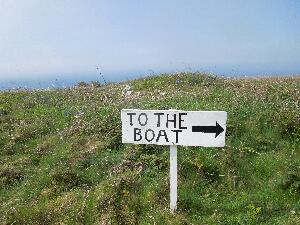 Great Saltee - the boat from Kilmore Quay anchored off the island