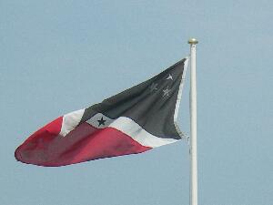 Great Saltee flag