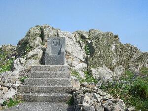 Great Saltee -  'Prince' Michael's throne