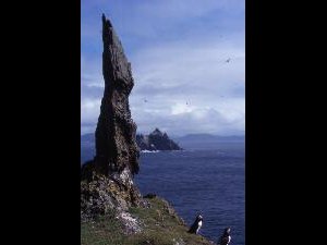 Skellig - Sceilg