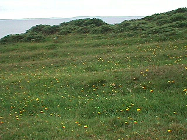 Inishturk - Inis Toirc