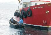 Pilgrims tranship from boats to currachs for the landing on Caher