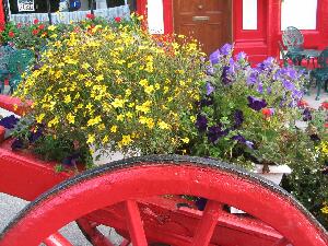 Valentia Island - Oilen Dairbhre