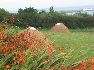 Valentia Island - Oilen Dairbhre